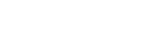 brandoo official logo